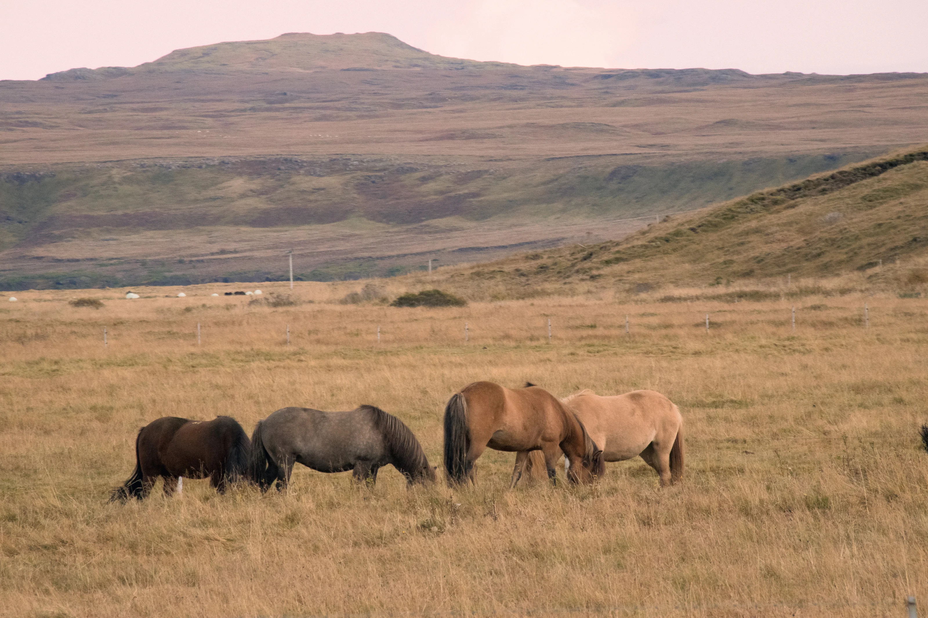 South Coast, Iceland