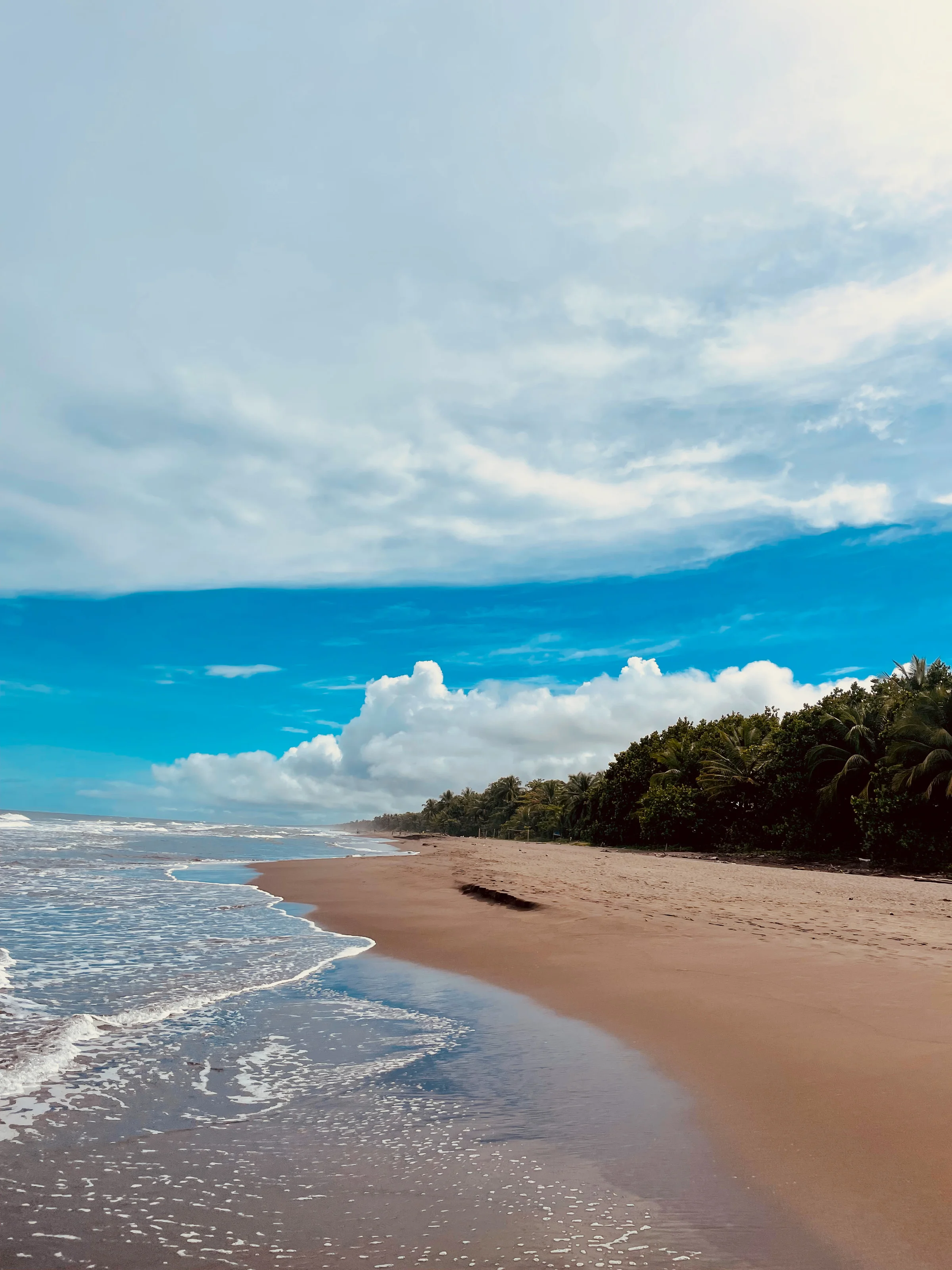 An empty beach lined with palms, waves running up the sand under a wide sky