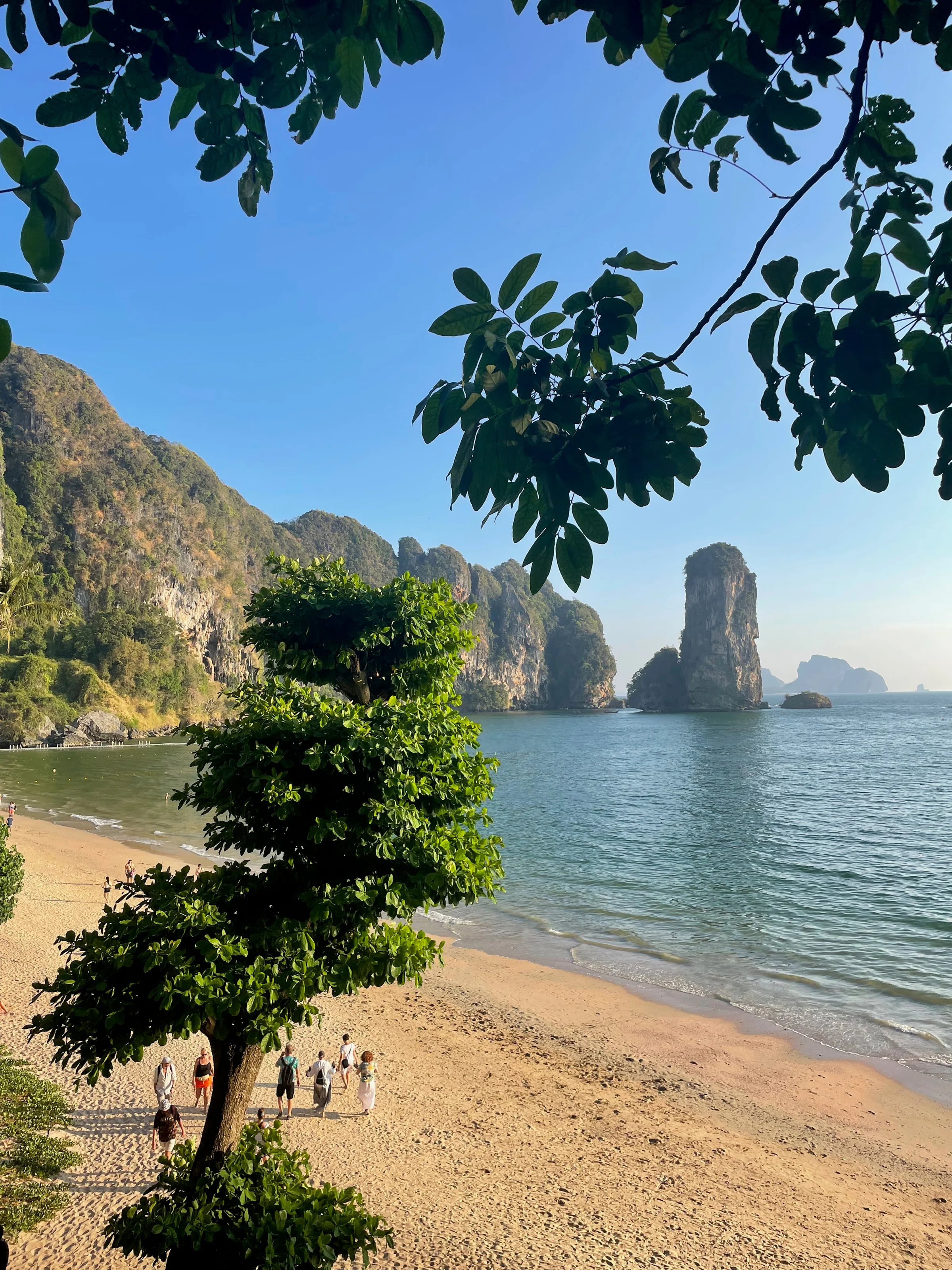 A sandy beach framed by leaves, limestone cliffs and a rock tower rising from calm sea